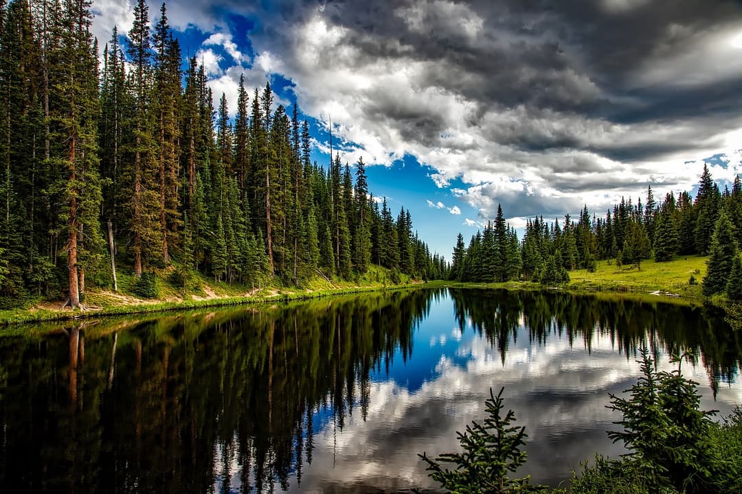Beautiful Belarusian landscape with forest lake